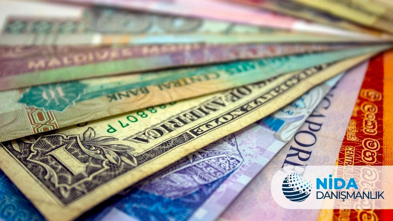 Türkiyede Yabancı Sermayeli Şirket Kuruluşu